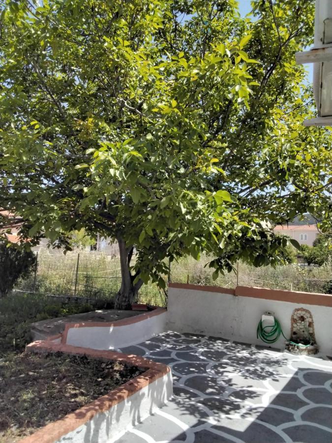 Ralloy Hoyse Sami  Exterior photo